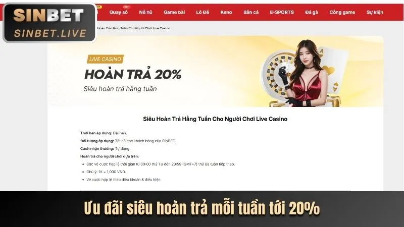 Phân tích các chương trình khuyến mãi độc quyền của DK68